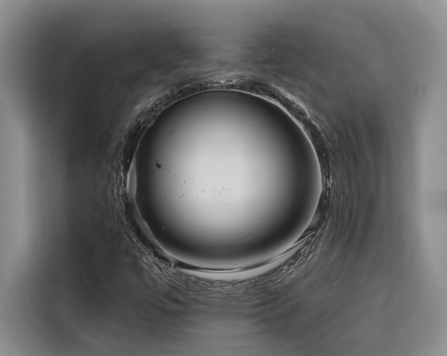 X0000116551447200912101403