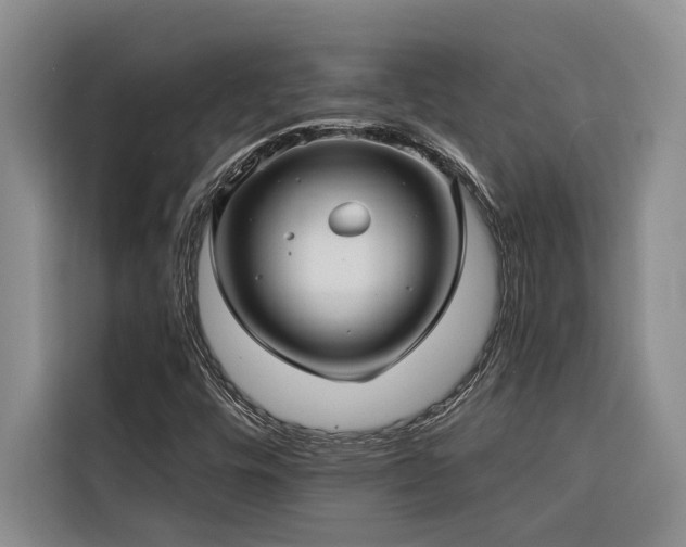 X0000116551448200912101403