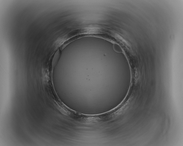 X0000116551449200912101403