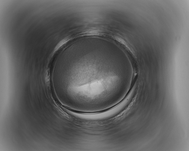 X0000116551450200912101403
