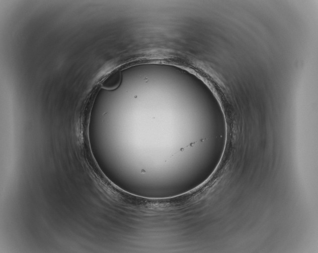 X0000116551451200912101403