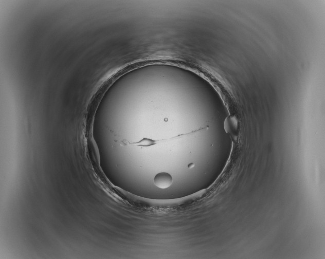 X0000116551452200912101403