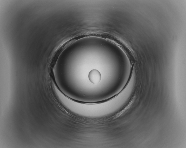 X0000116551453200912101403