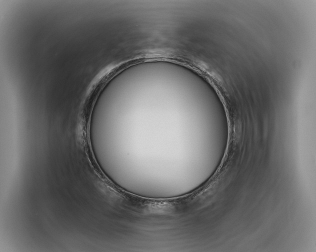 X0000116551454200912101403