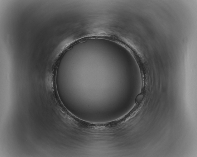 X0000116551455200912101403
