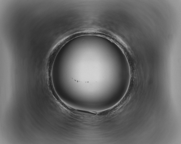 X0000116551456200912101403