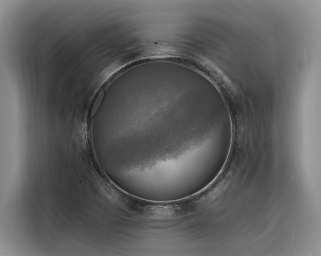 X0000116551457200912101403