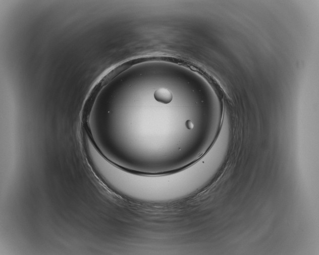 X0000116551460200912101403