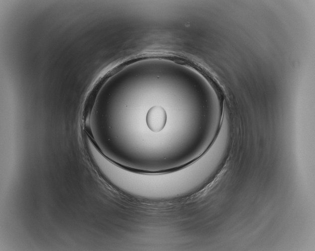 X0000116551461200912101403