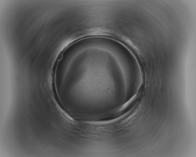 X0000116551463200912101403