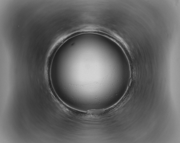 X0000116551464200912101403