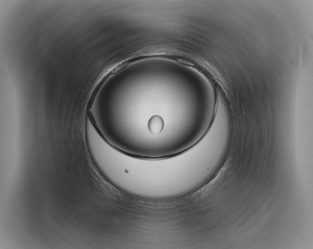 X0000116551465200912101403