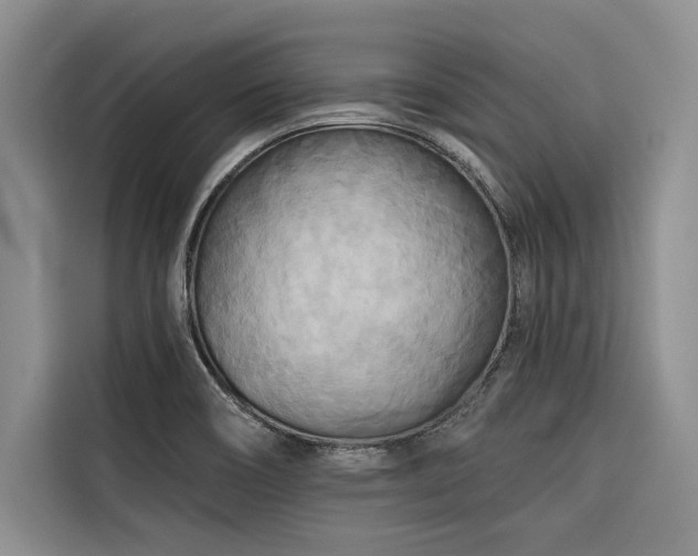 X0000116551466200912101403