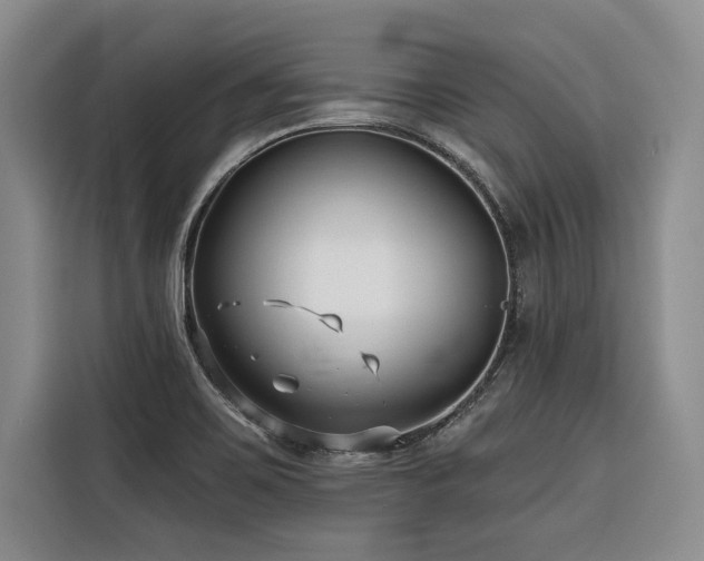 X0000116551467200912101403