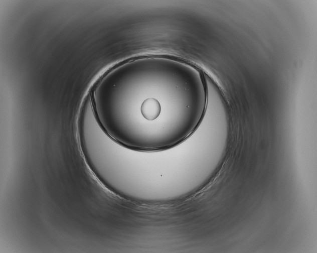 X0000116551468200912101403