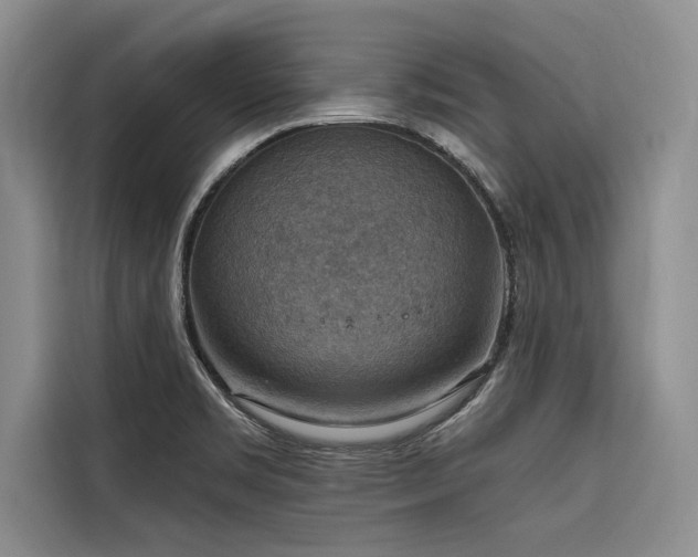 X0000116551469200912101403