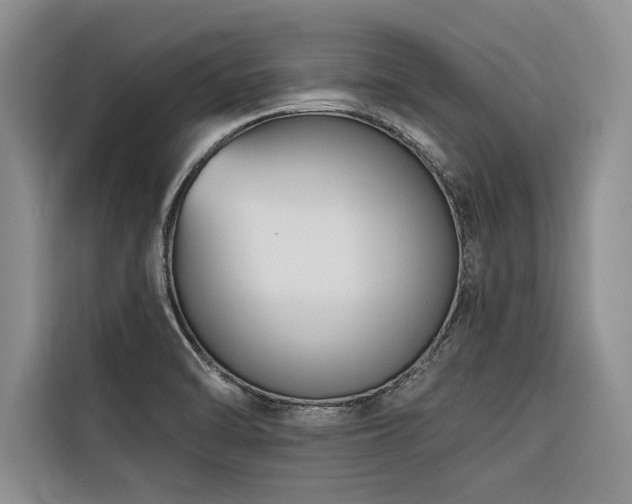 X0000116551470200912101403