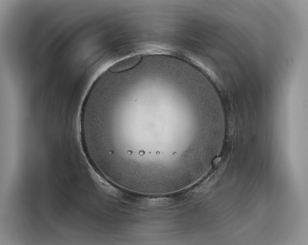 X0000116551471200912101403