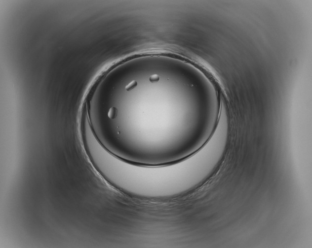 X0000116551472200912101403