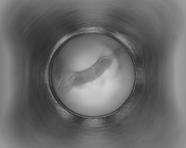 X0000116551474200912101403