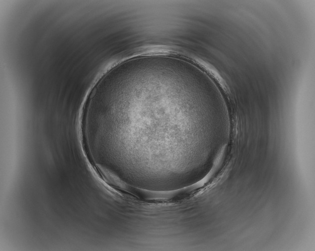 X0000116551475200912101403