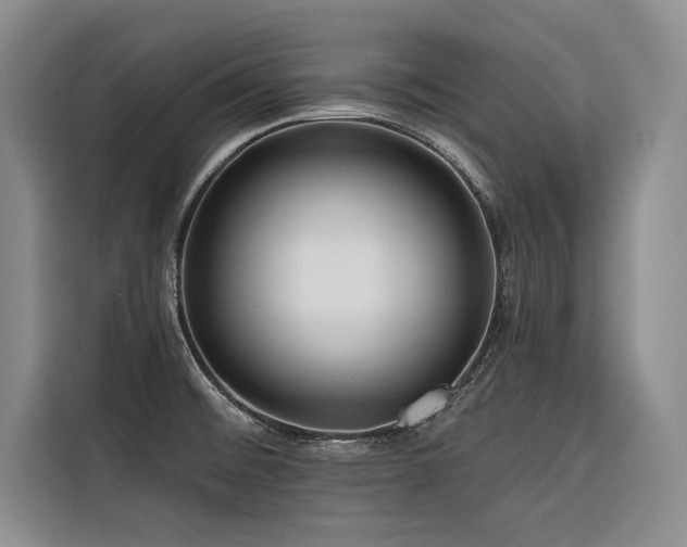 X0000116551476200912101403