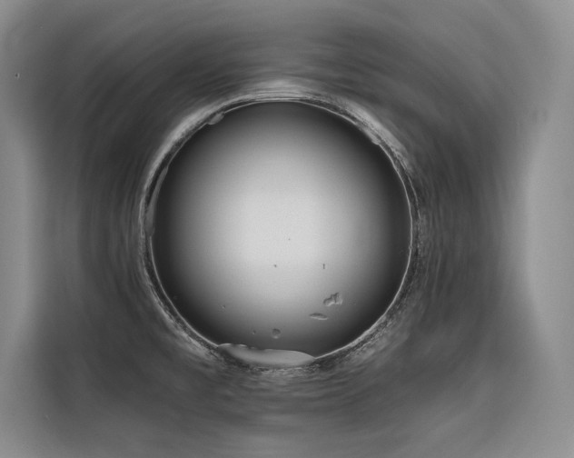 X0000116551477200912101403