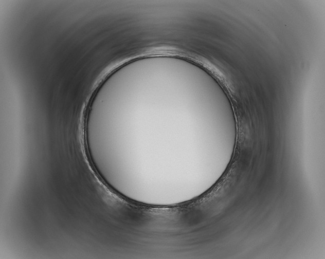 X0000116551478200912101403