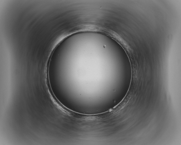 X0000116551479200912101403