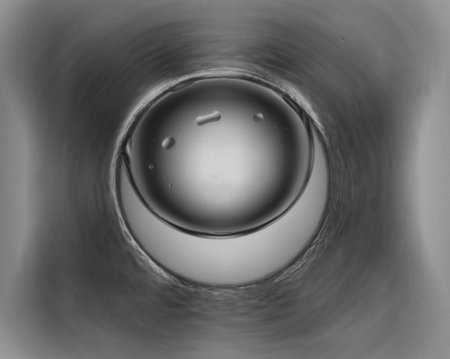 X0000116551480200912101403