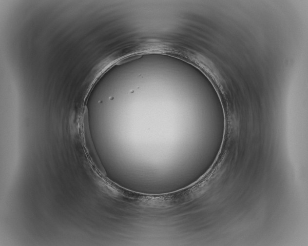 X0000116551481200912101403