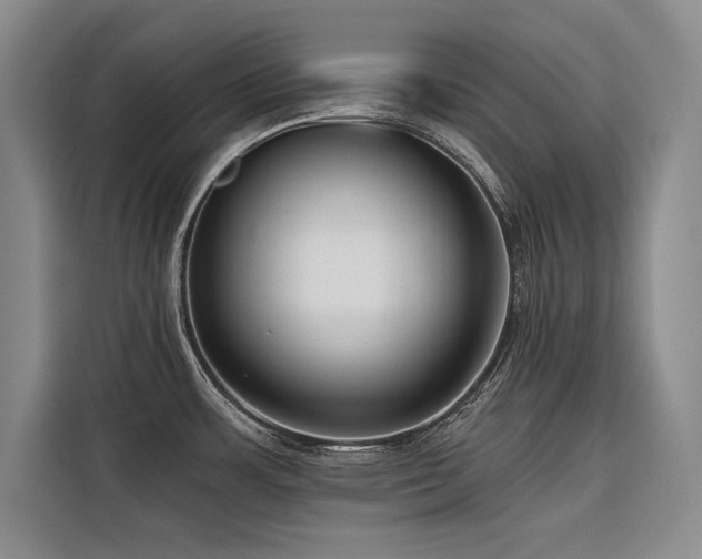 X0000116551483200912101403