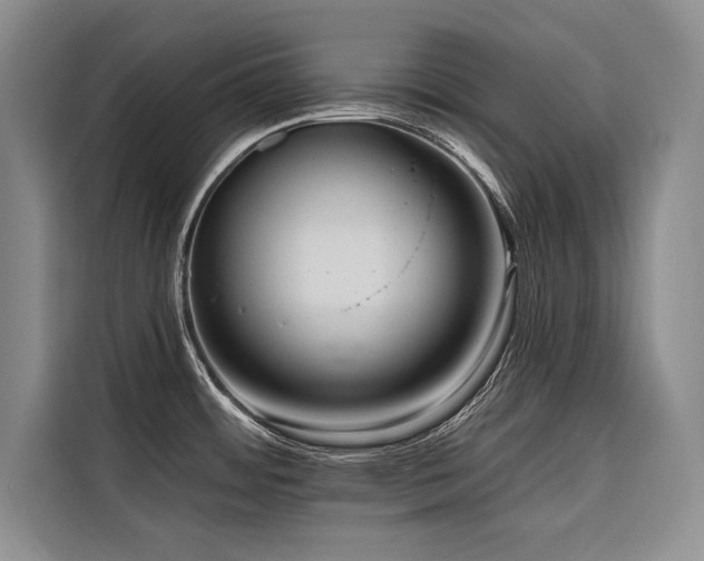 X0000116551484200912101403