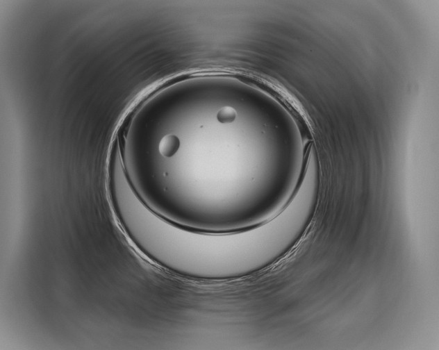 X0000116551485200912101402