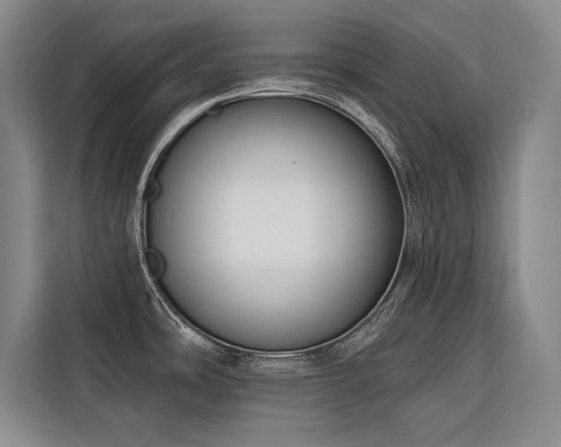 X0000116551486200912101402