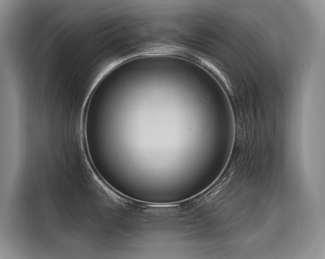 X0000116551487200912101402