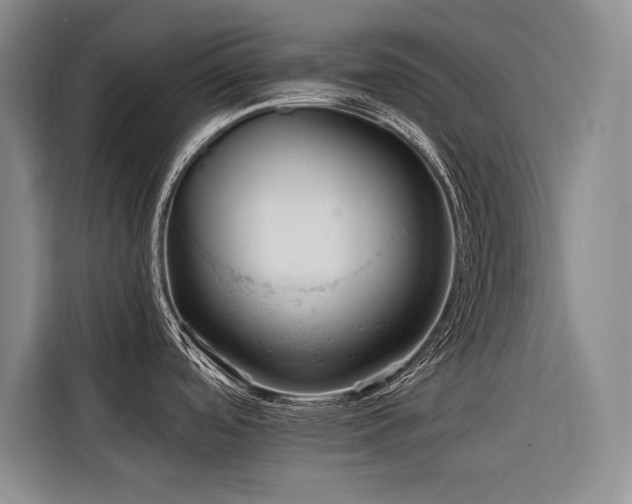 X0000116551488200912101402
