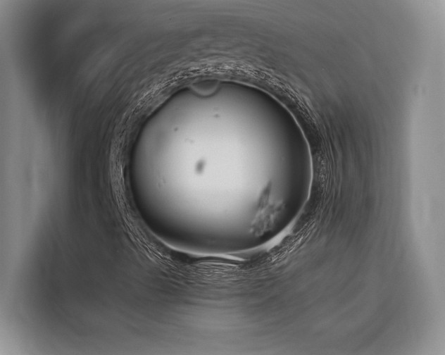 X0000116551489200912101402