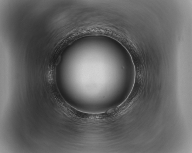 X0000116551490200912101402