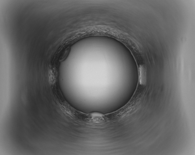 X0000116551491200912101402