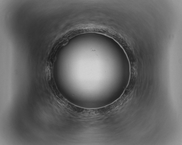 X0000116551493200912101402