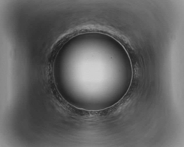 X0000116551494200912101402