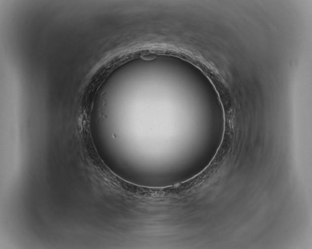 X0000116551495200912101402
