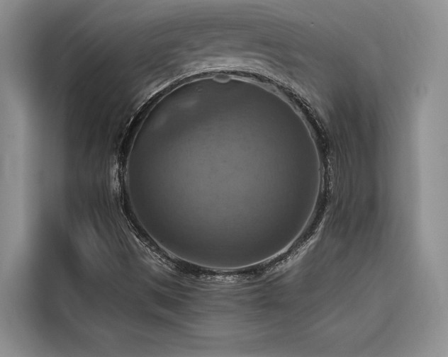 X0000116551497200912101402