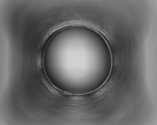 X0000116551499200912101402