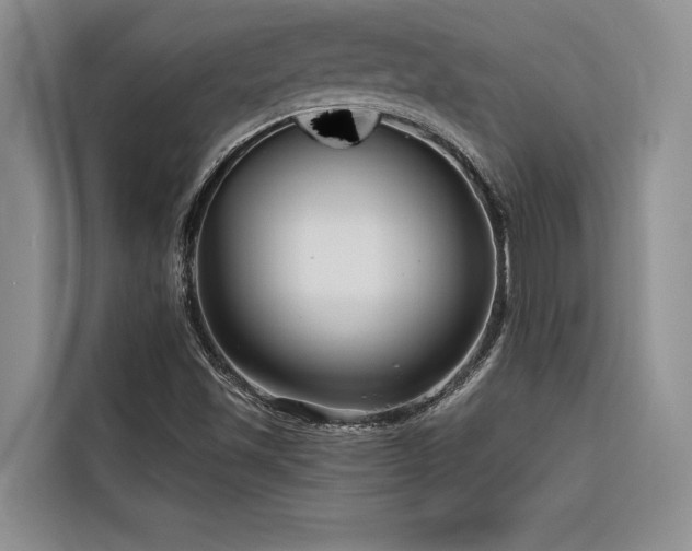 X0000116551501200912101402