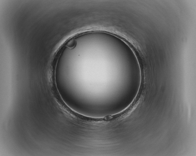 X0000116551502200912101402