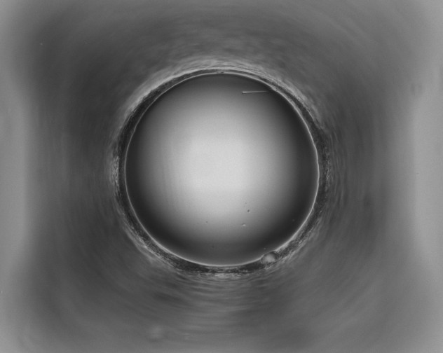 X0000116551503200912101402