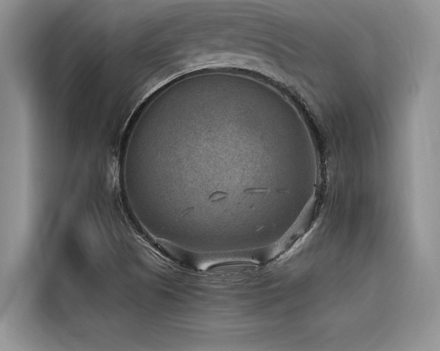 X0000116551505200912101402