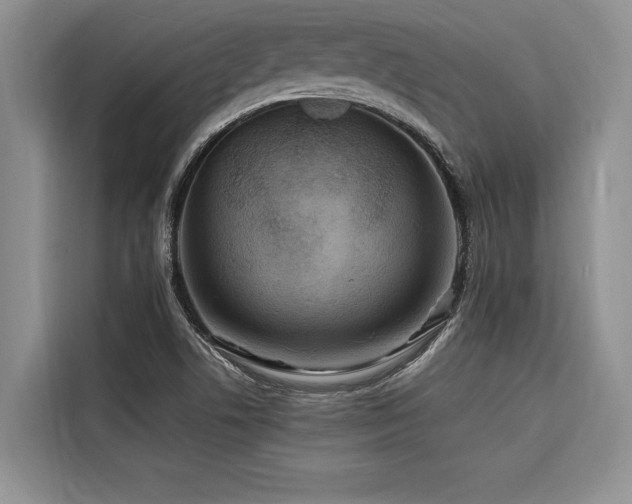 X0000116551506200912101402
